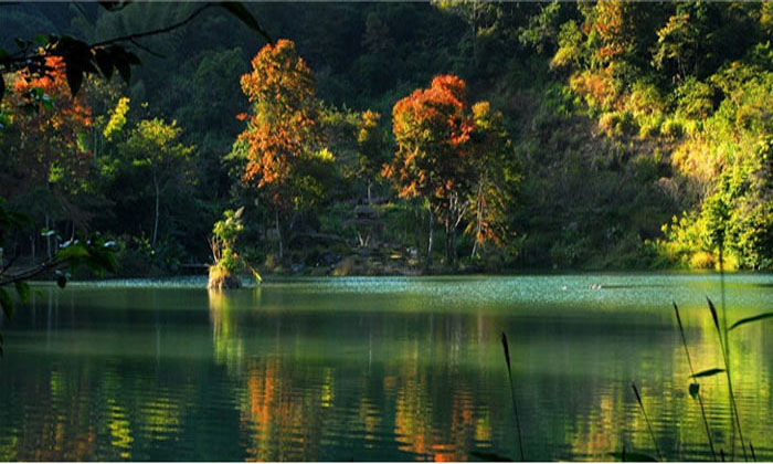 河源野趣沟风景区成人票