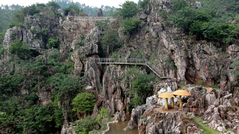 地----大云雾山旅游区,位于千年古州郡,神话之乡,长寿之乡云浮富林镇